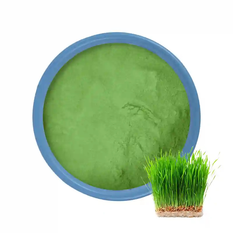 Wheat Grass Powder